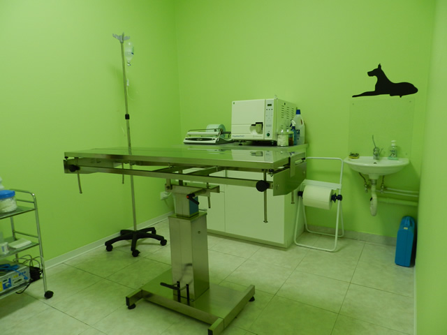 clinica-veterinaria-zampiland (9)